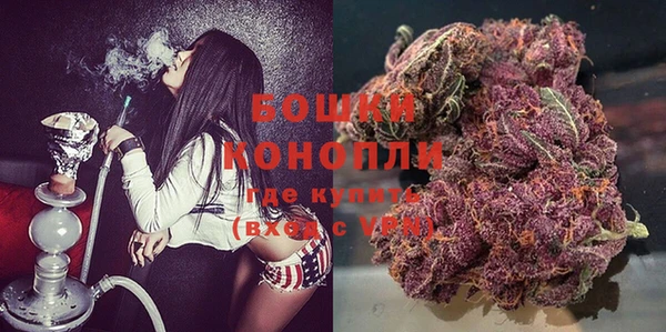 ПСИЛОЦИБИНОВЫЕ ГРИБЫ Арсеньев