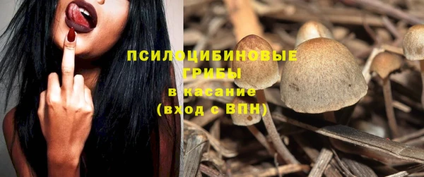 ПСИЛОЦИБИНОВЫЕ ГРИБЫ Арсеньев